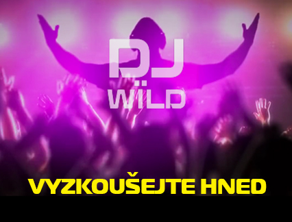 Online automat Dj Wild